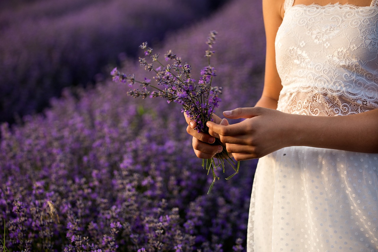 ¿Qué es la lavanda resumen?