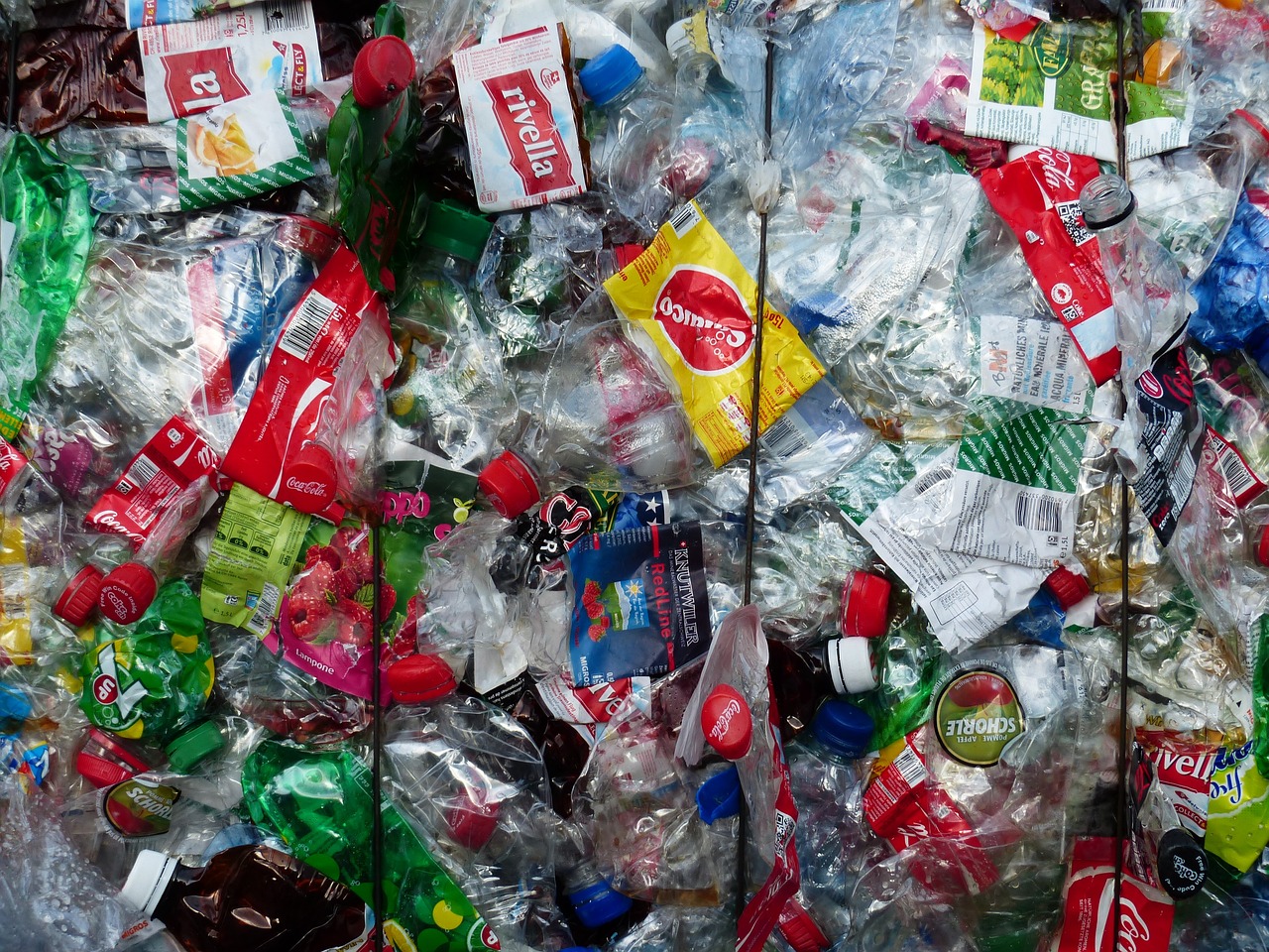 ¿Qué es cosecha o recoleccion?