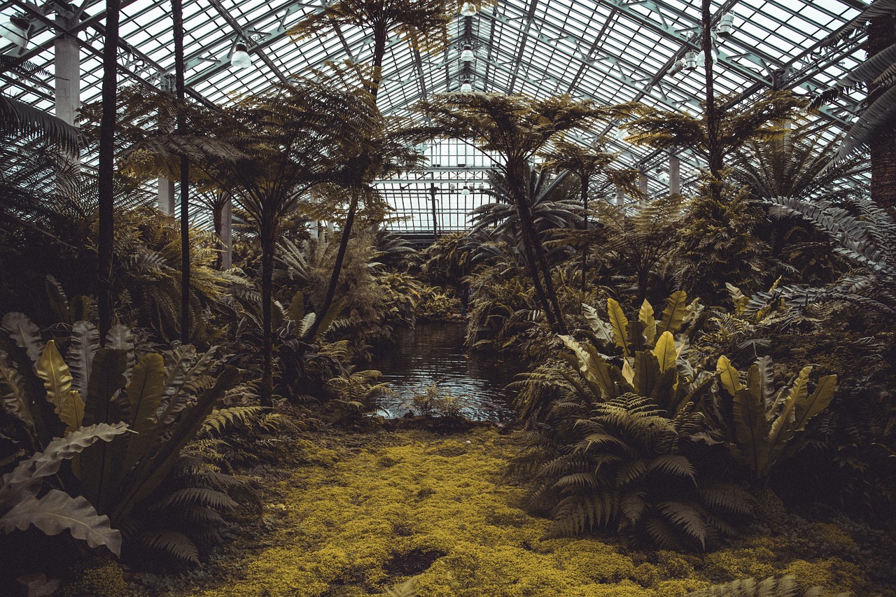 ¿Qué plantas se pueden poner en un invernadero?