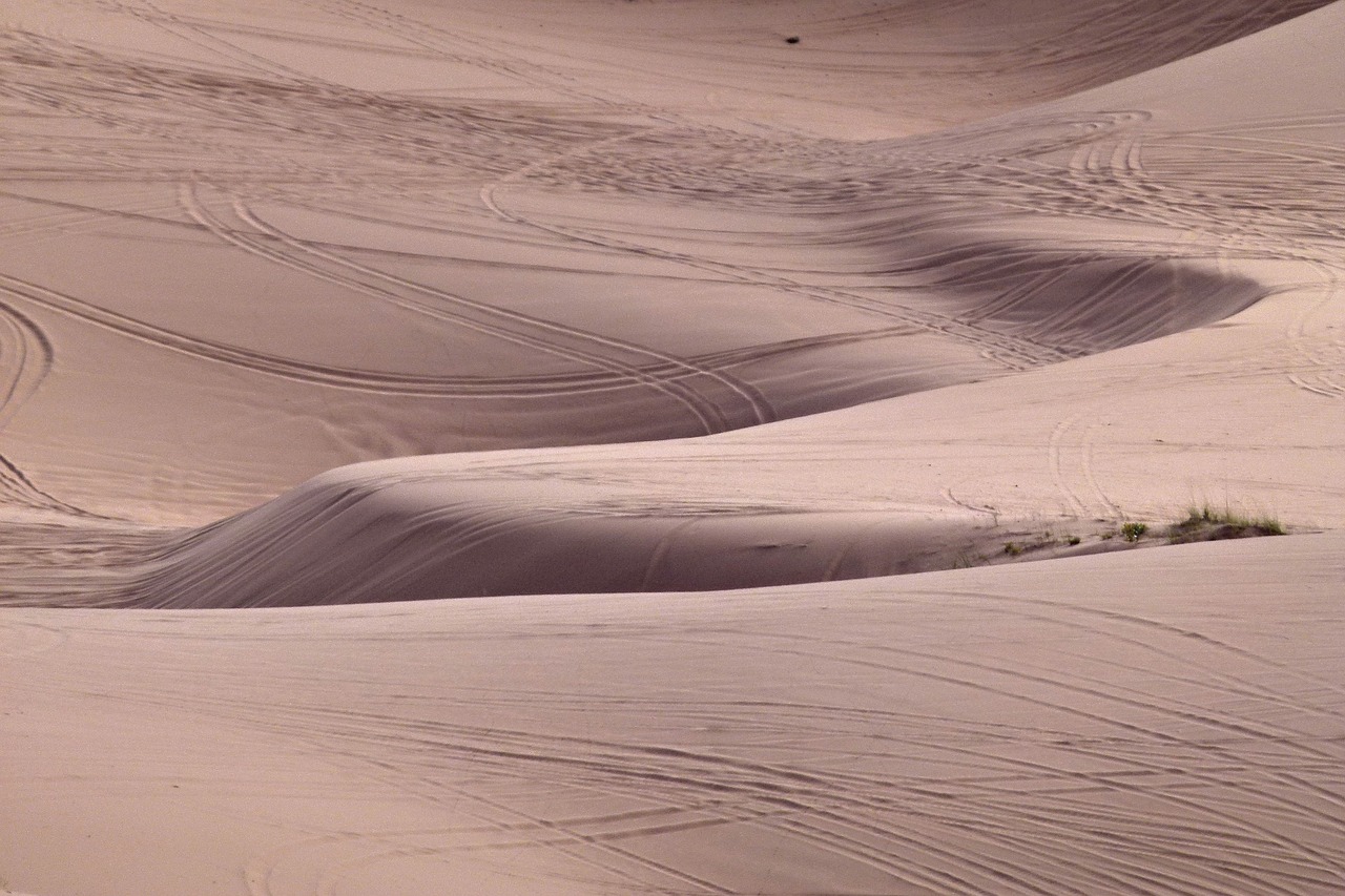 ¿Qué temperatura soporta la rosa del desierto?