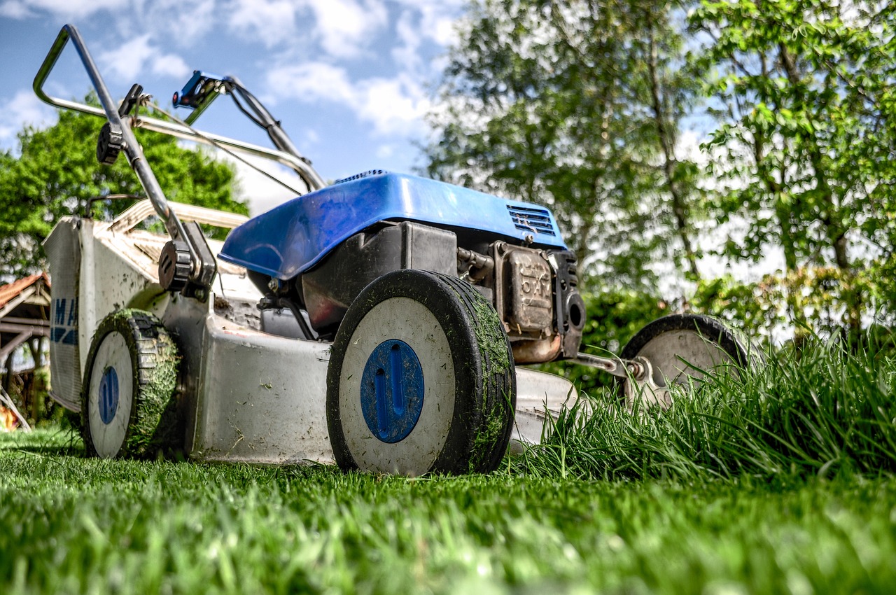 ¿Cómo se le llama a los que diseñan jardines?
