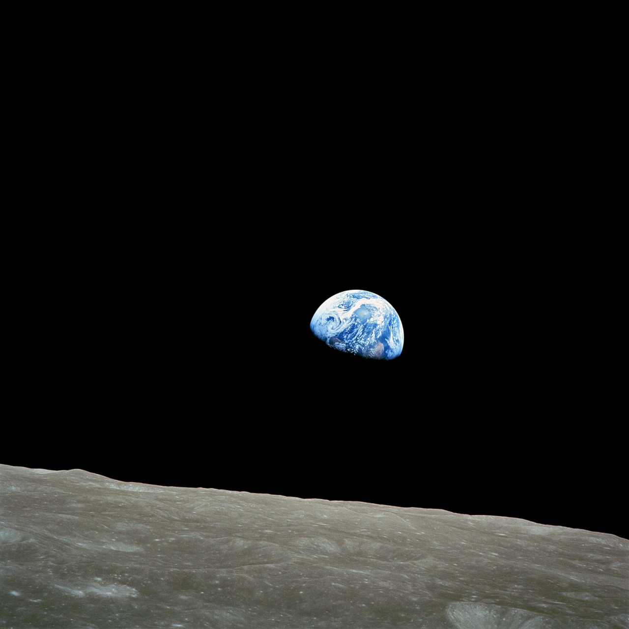 ¿Cómo se llama la tierra para rellenar?