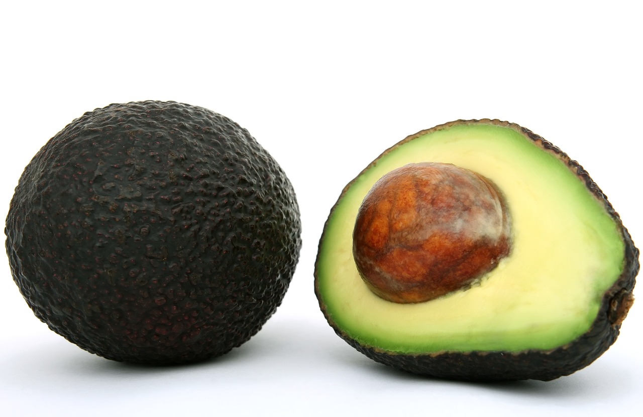 ¿Cómo cuidar un árbol de aguacate pequeño?
