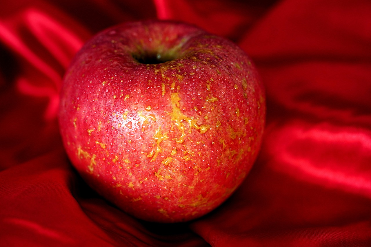 ¿Cuándo se recogen las manzanas Fuji?
