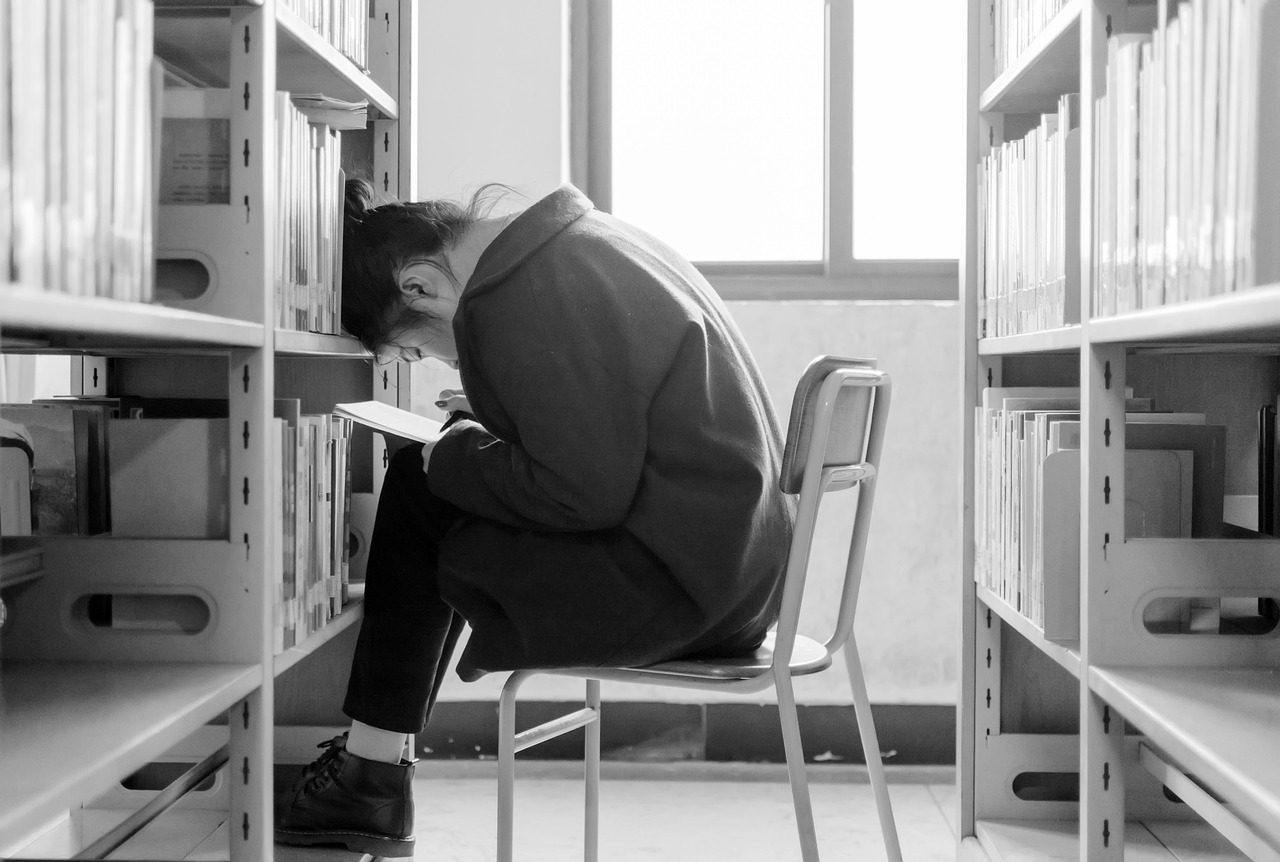 ¿Dónde puedo ver documentales gratis?