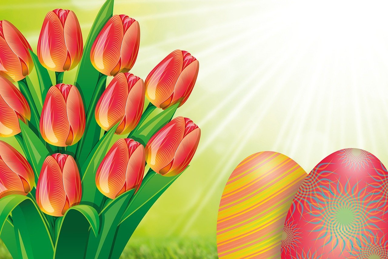 ¿Cuántos colores hay de flor de Pascua?