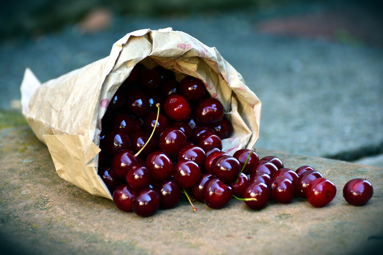 ¿Cómo se plantan las cerezas?
