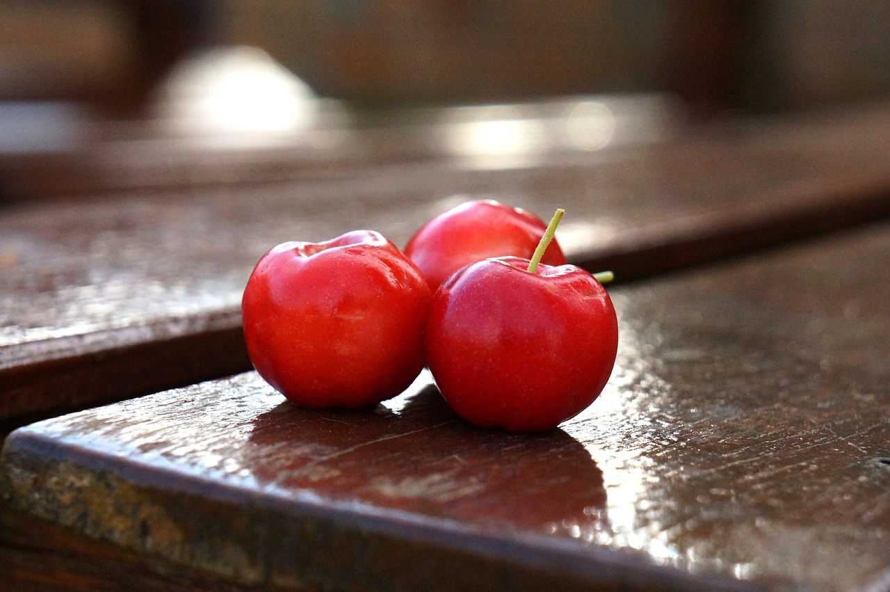 ¿Cuándo se planta la acerola?