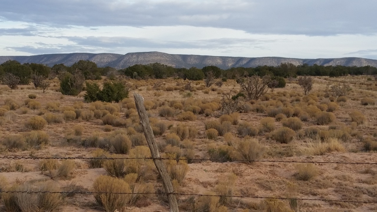 ¿Qué lleva un jardín seco?