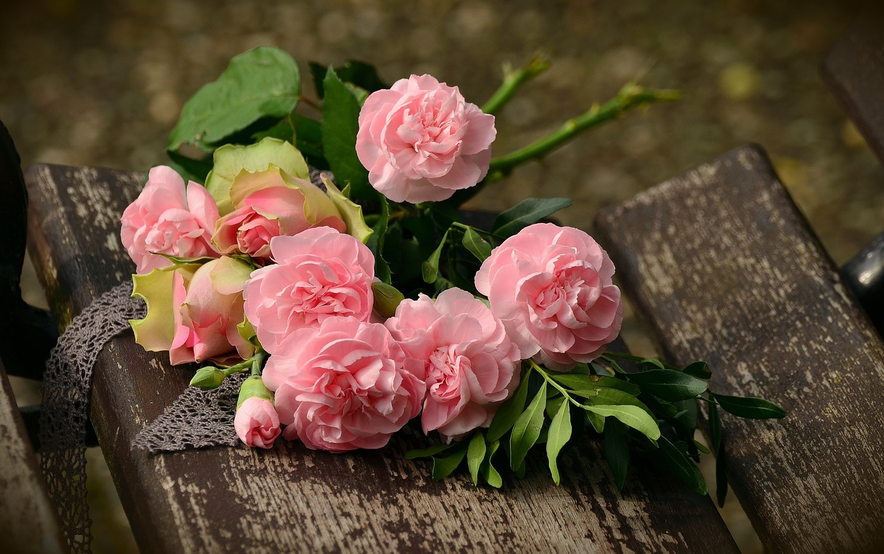 ¿Cuándo es la época para plantar rosas?