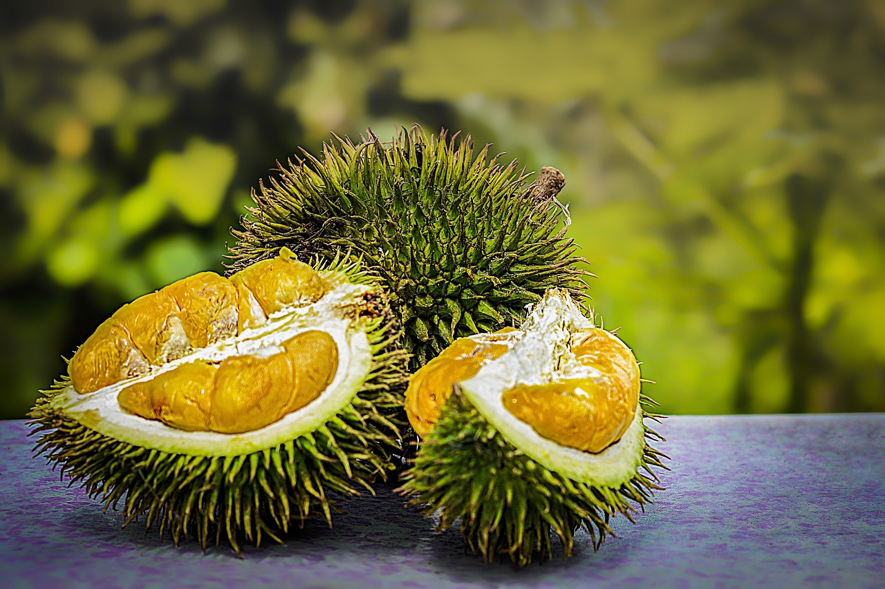 ¿Cuánto cuesta la fruta durian?