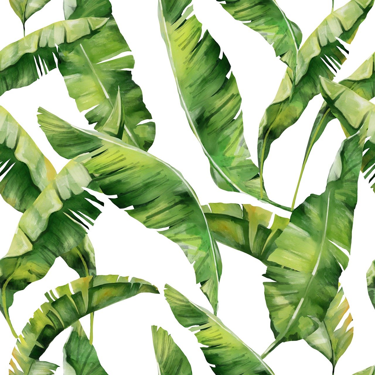 ¿Por qué la palmera no es un árbol?
