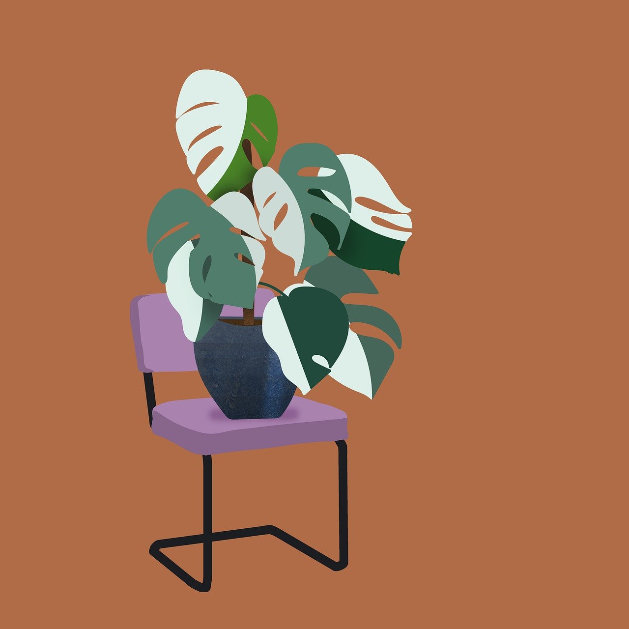 ¿Cómo cuidar las plantas de interior en la casa?