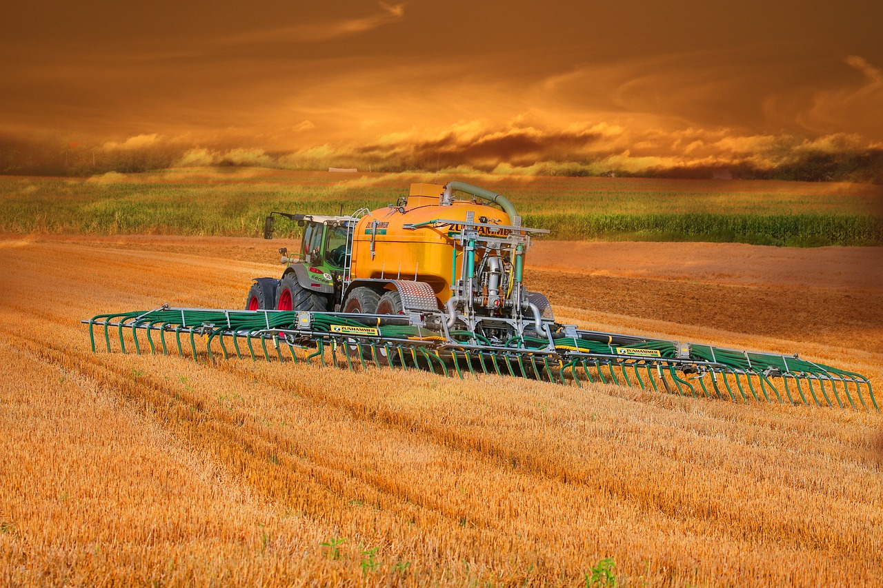 ¿Cómo se puede fertilizar el suelo?