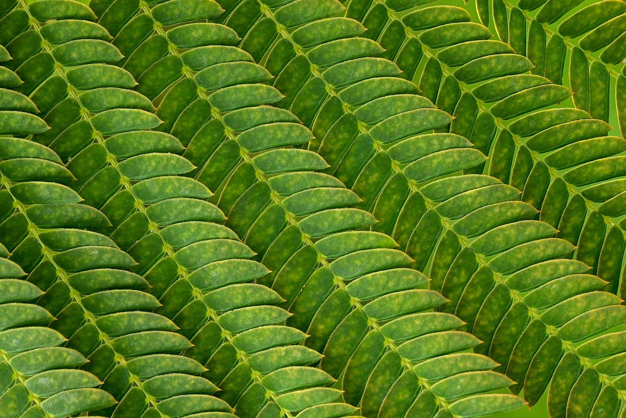 ¿Qué pasa si mi planta tiene gusanos?