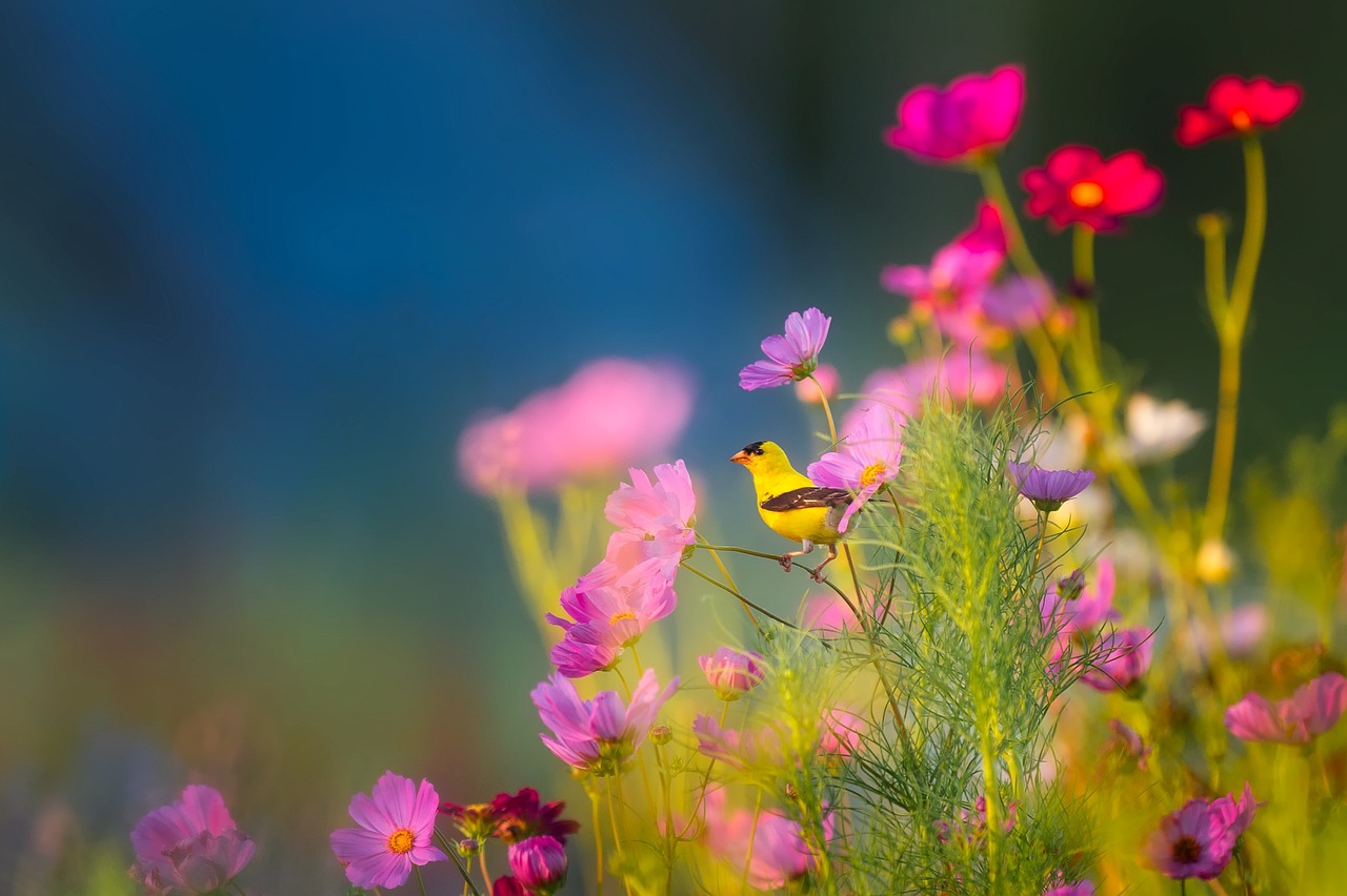 ¿Cuáles son las plantas más resistentes al sol?