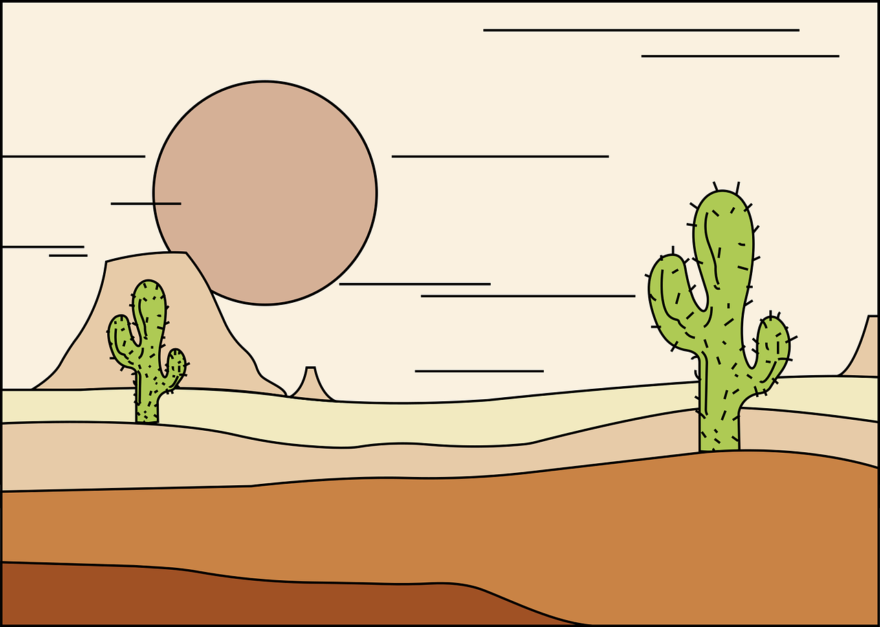 ¿Dónde tienen que estar los cactus?