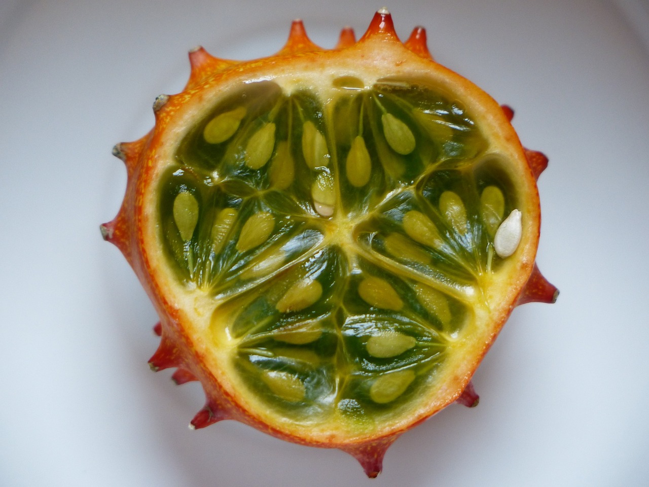 ¿Qué es el pepino melón y para qué sirve?
