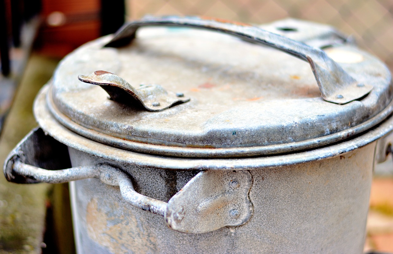 ¿Cómo aportar zinc a mi planta?