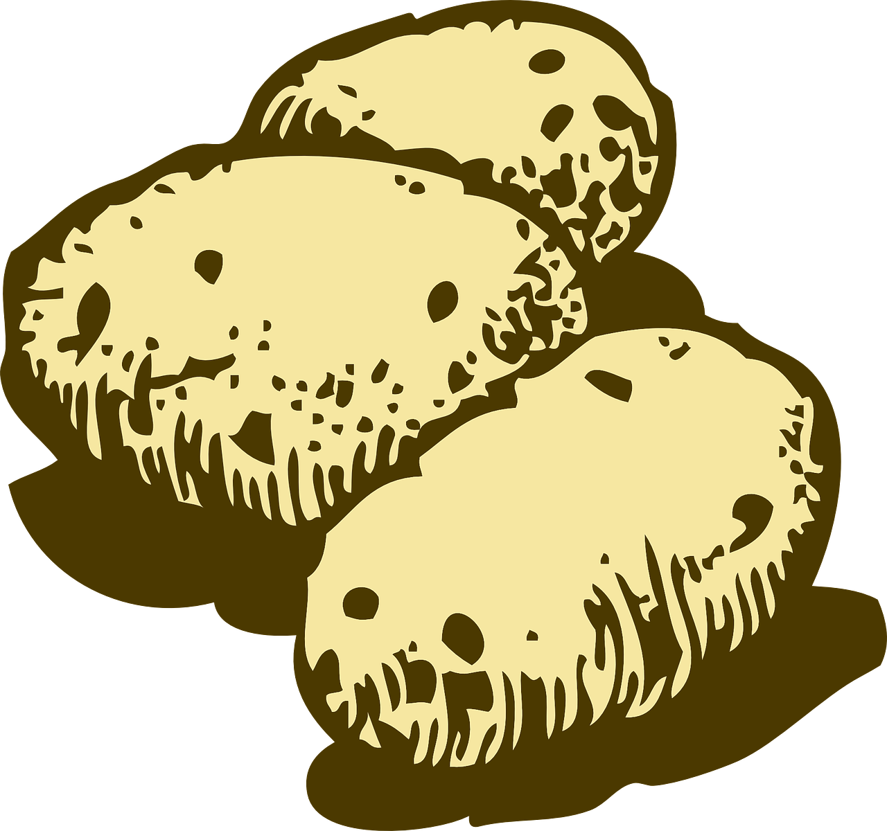 ¿Cuántas variedades de coco hay?
