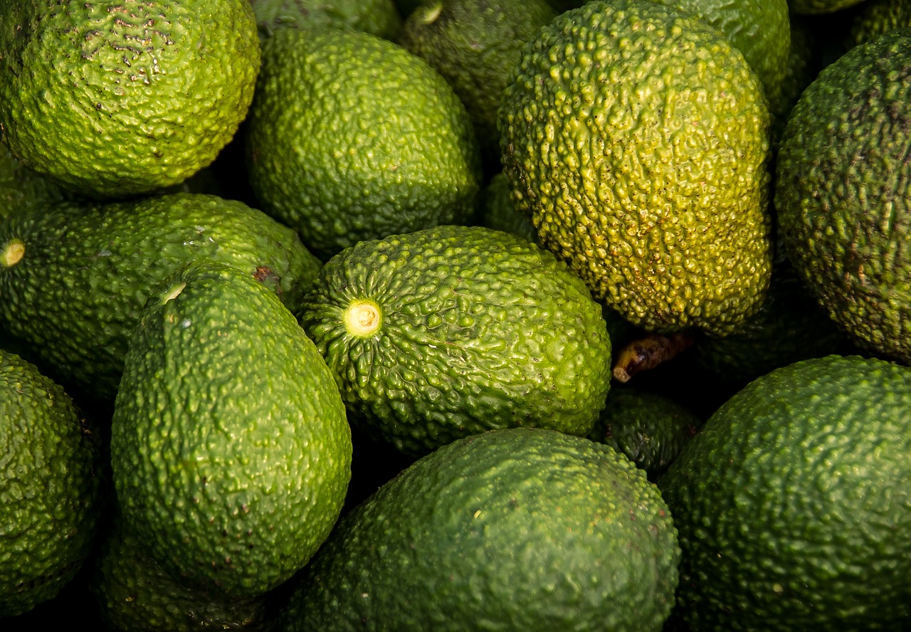 ¿Cuáles son las enfermedades del aguacate?