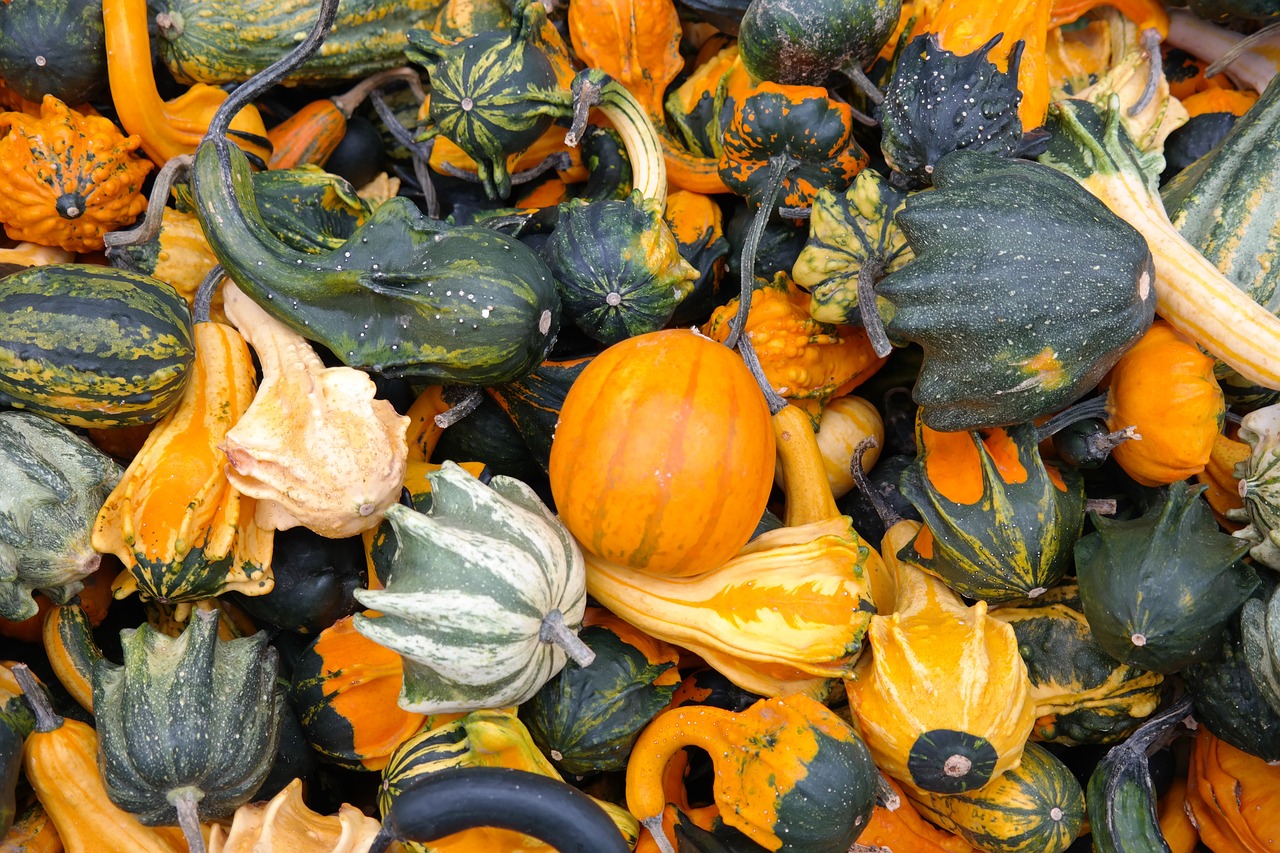 ¿Cuántas variedades de tulipanes hay?