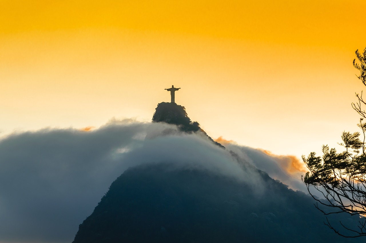 ¿Dónde poner el tronco de Brasil?