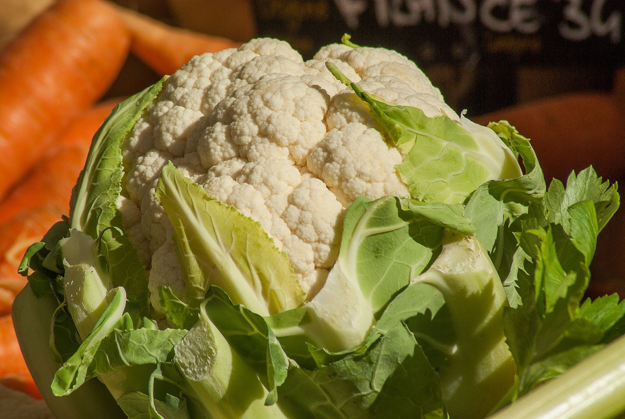¿Cuándo se siembra el coliflor?