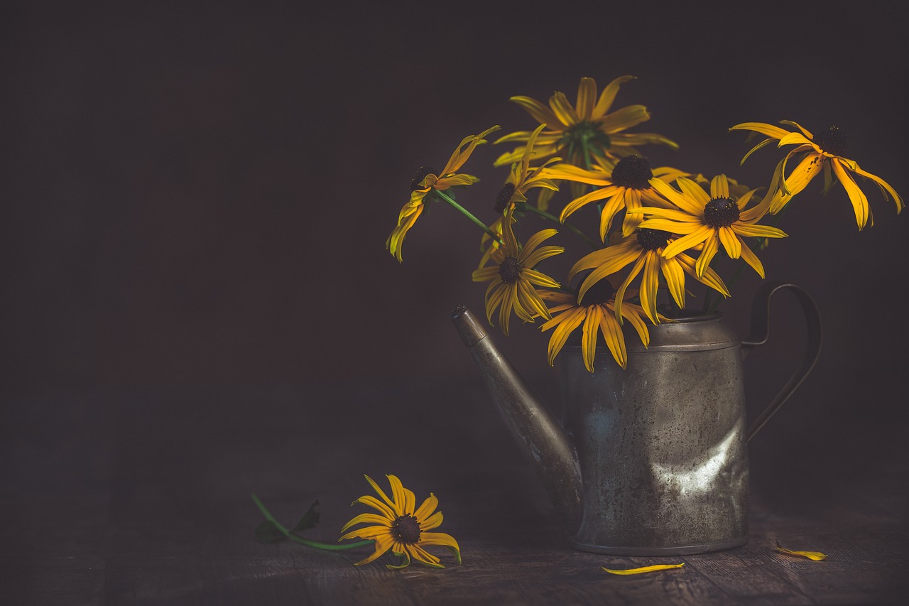 ¿Cuántas veces se riega la calathea?