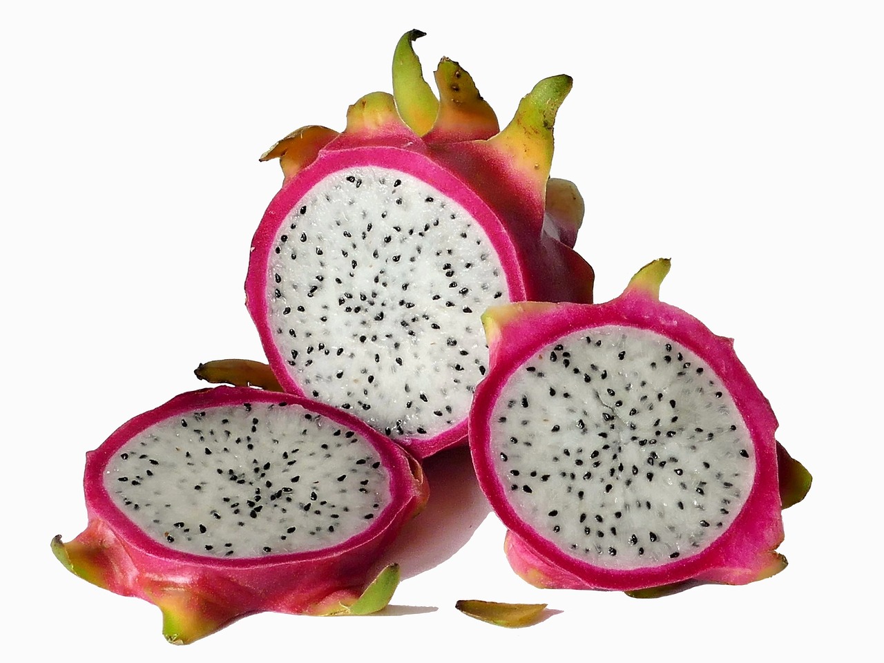 ¿Cómo hacer para que florezca la pitaya?