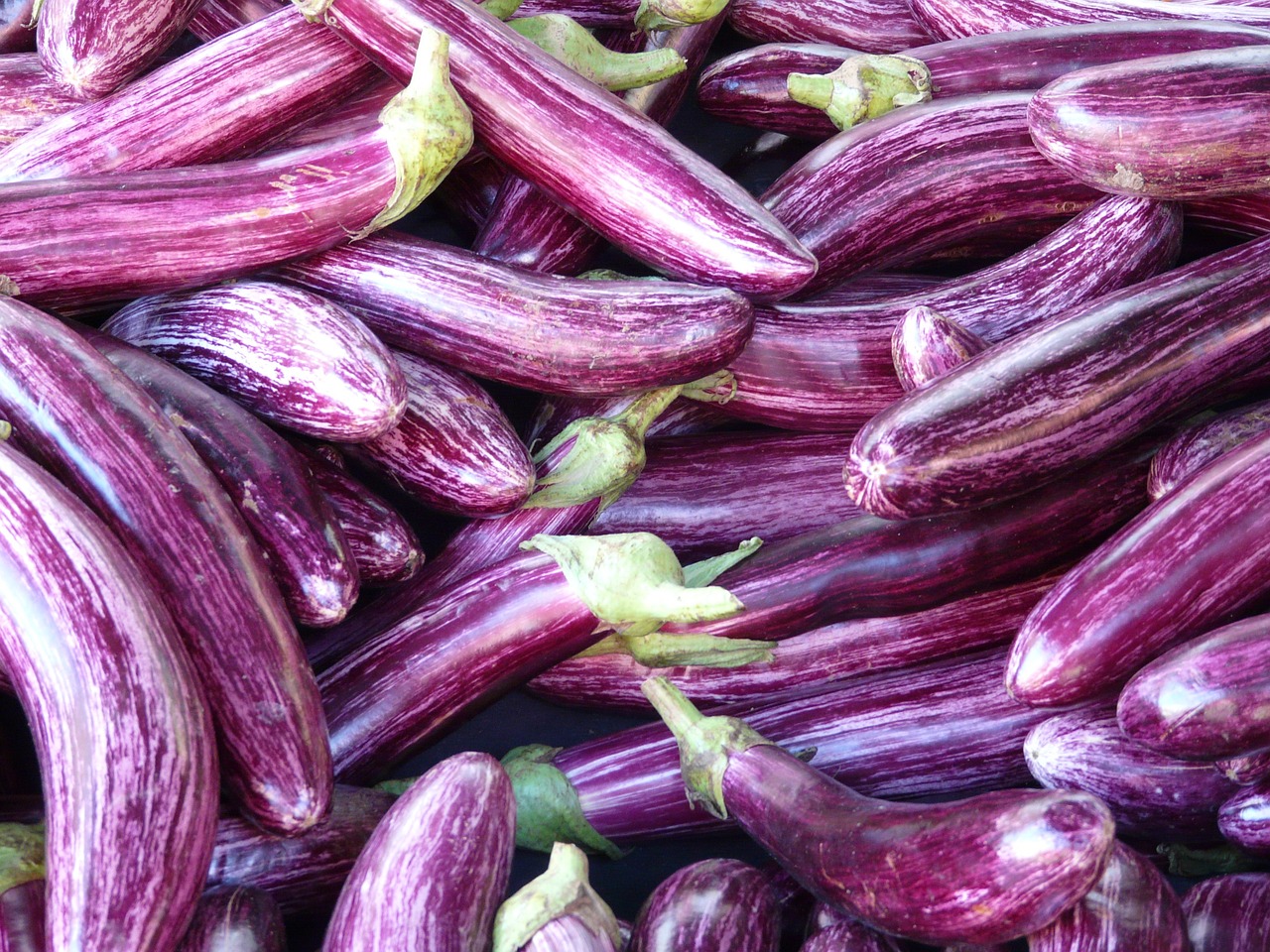¿Cómo se cuida la planta Solanum?