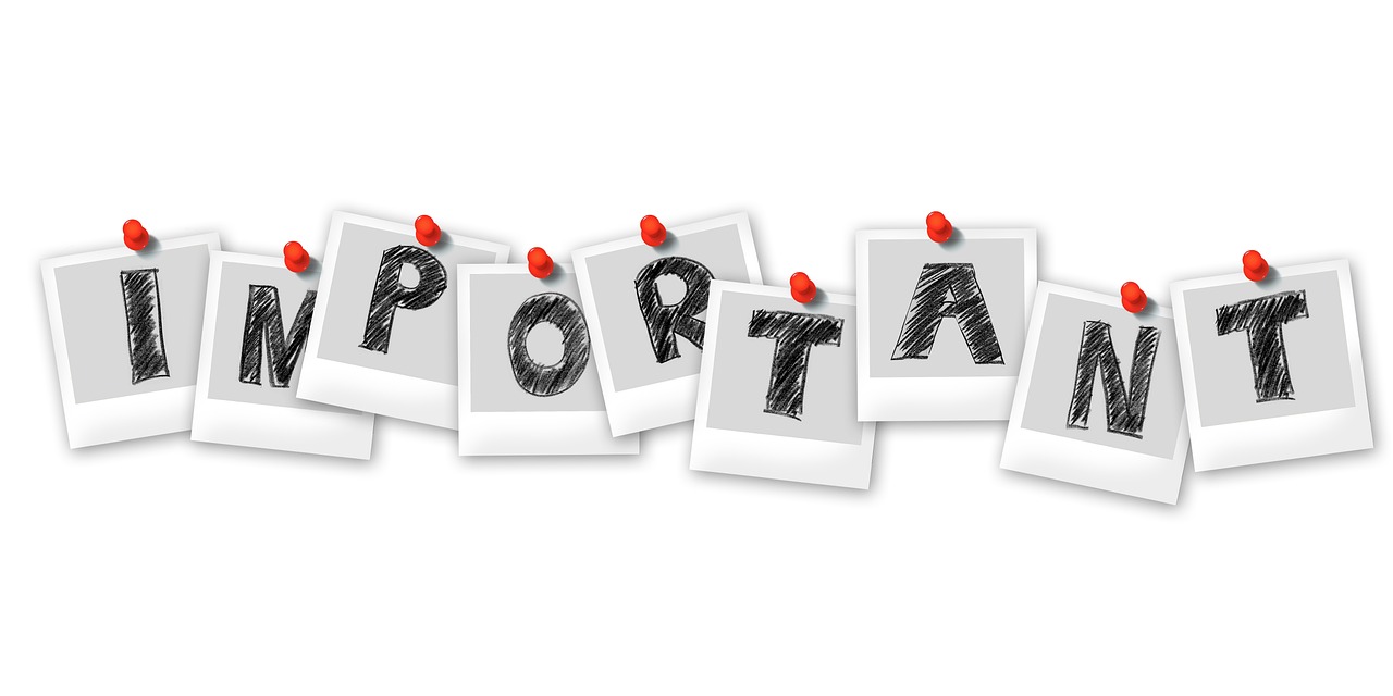 ¿Qué significado es la palabra perenne?