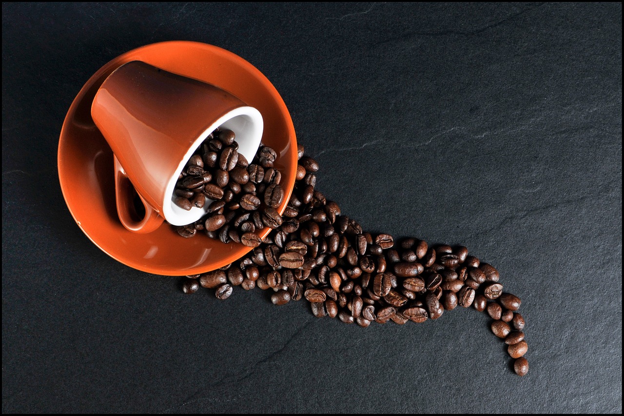 ¿Cuánto tiempo dura una planta de café?