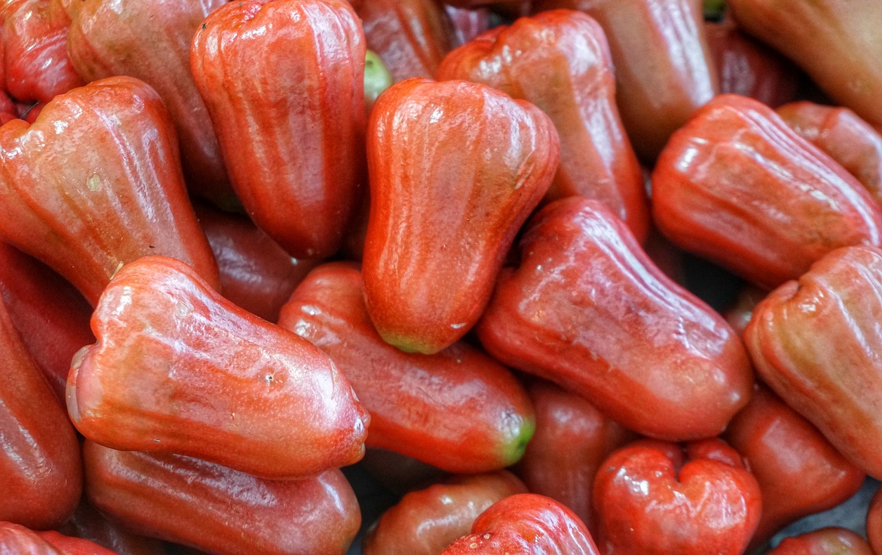 ¿Cuánto tiempo tarda en dar fruto un árbol de pomarrosa?