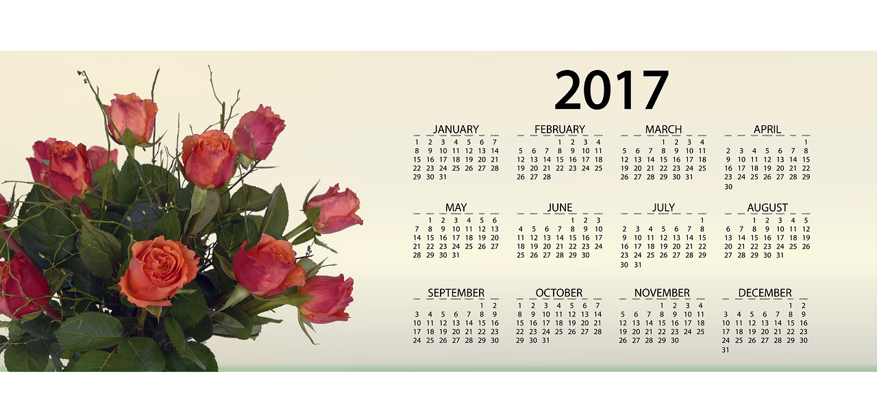 ¿Qué flores se dan en el mes de diciembre?