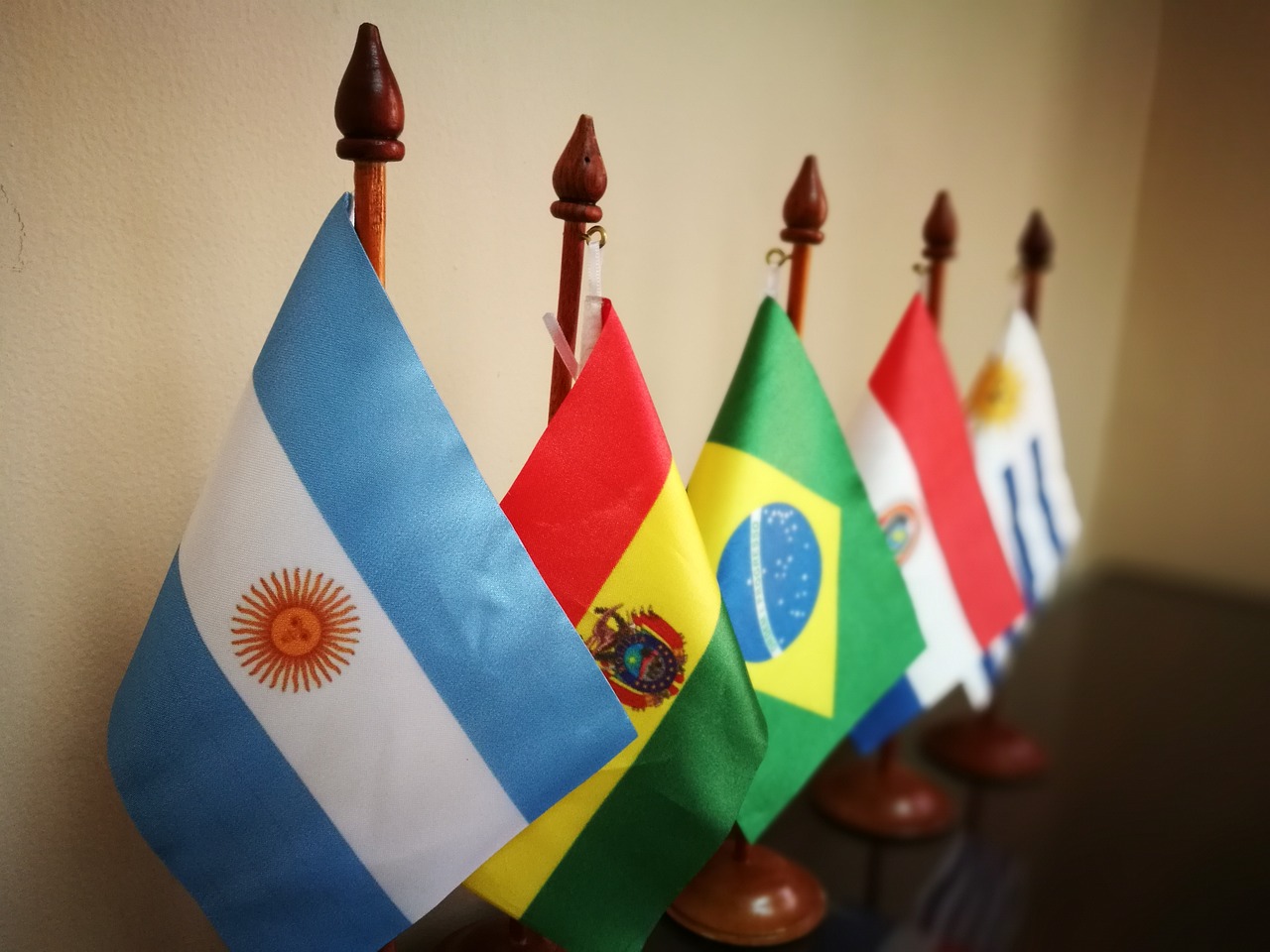 ¿Cómo es el árbol de las paraguayas?
