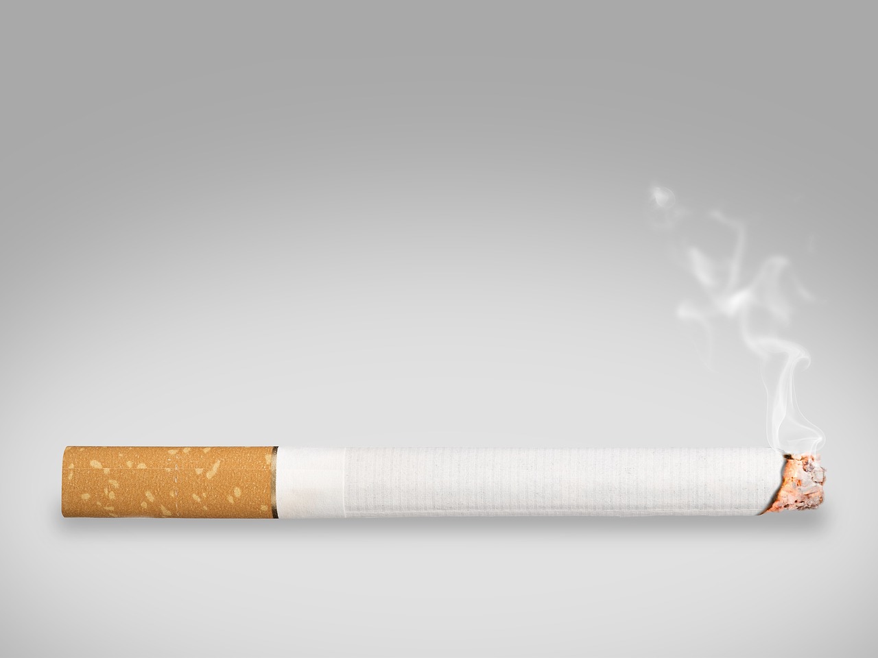 ¿Cuántos kilos salen de una planta de tabaco?