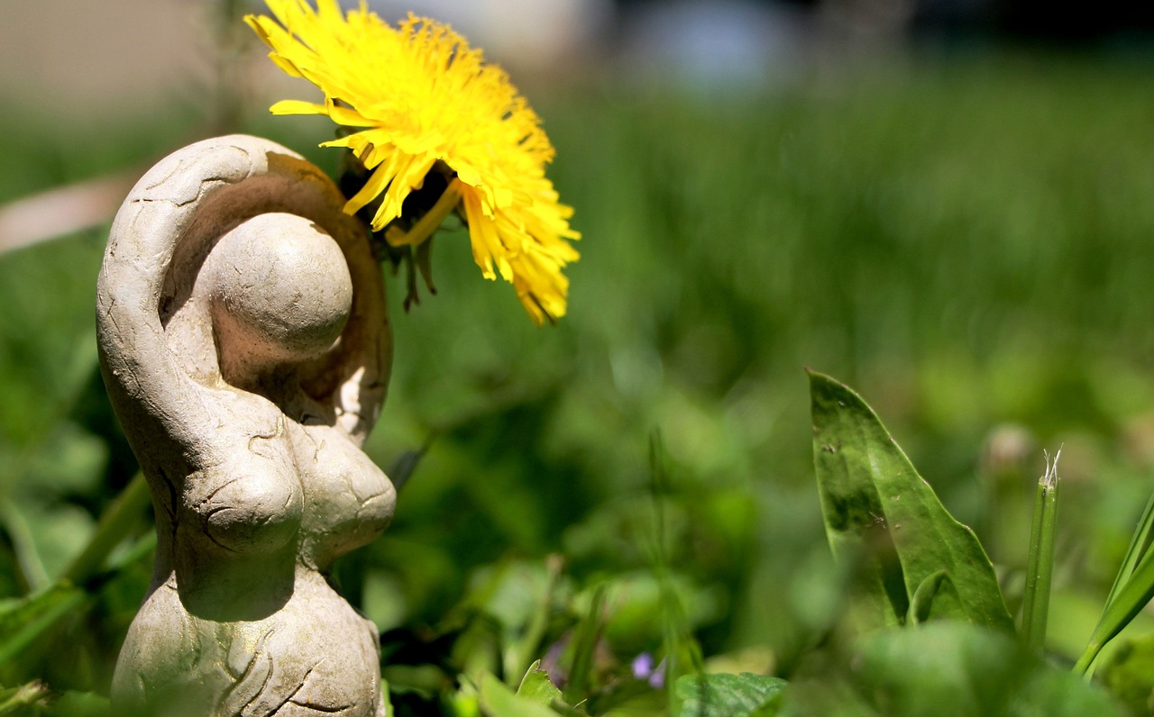 ¿Cuánto vale una ninfa amarilla?