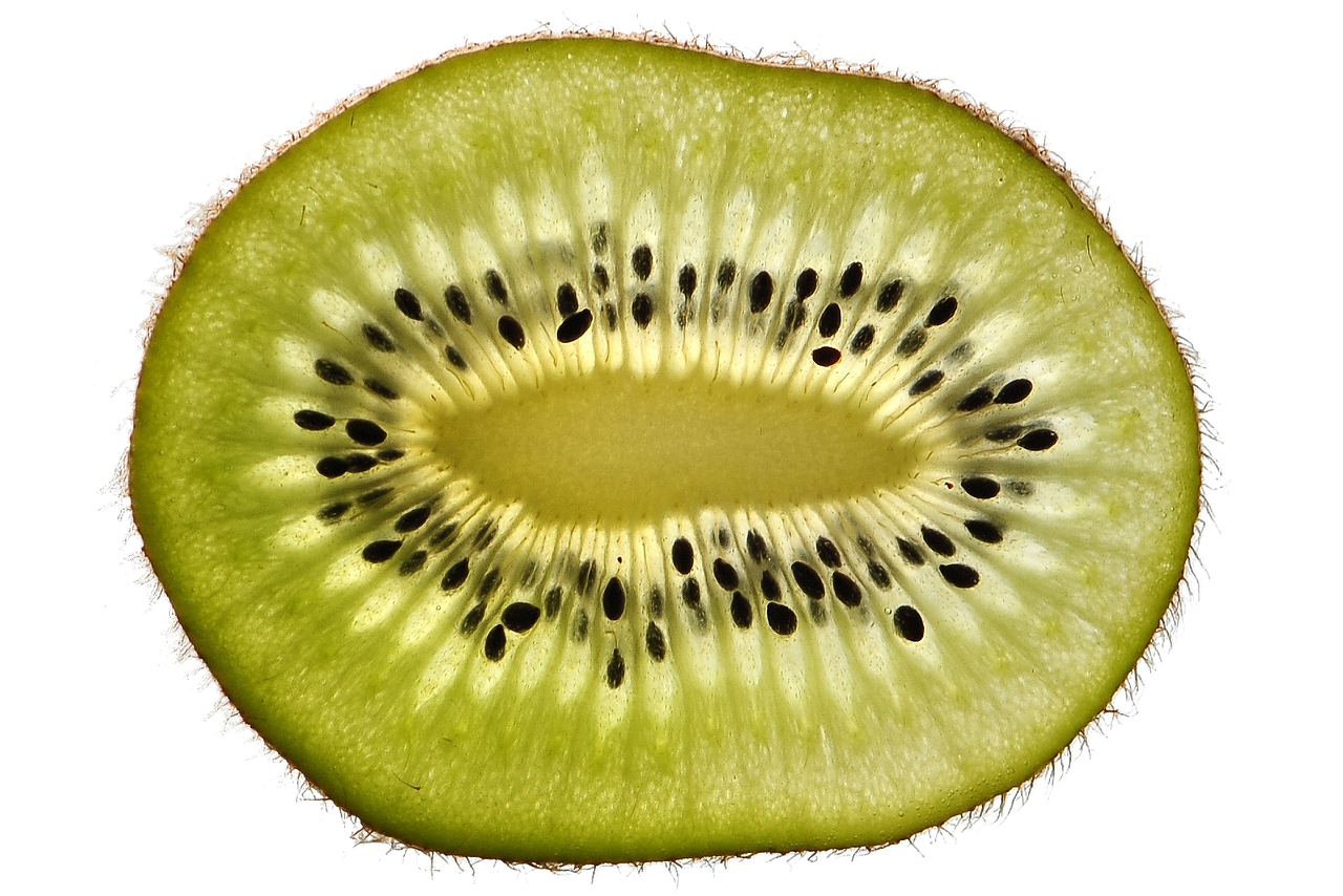 ¿Cuánto tiempo tarda una planta de kiwi en dar fruto?