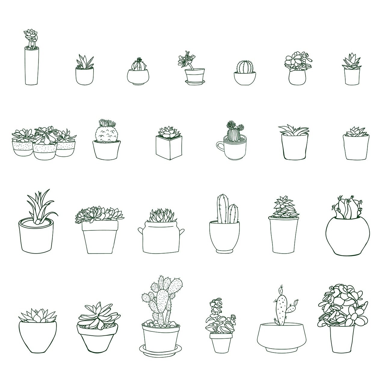 ¿Qué tipo de maceta es mejor para los cactus?