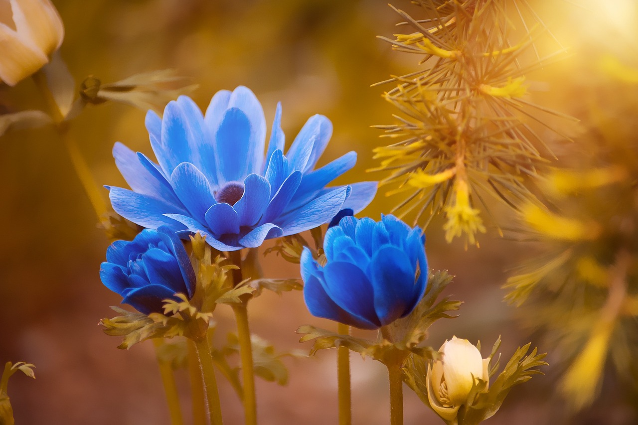 ¿Qué tipo de luz es mejor para el jardín?