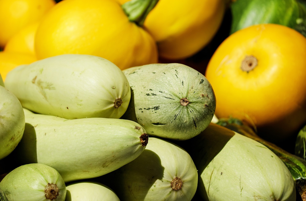 ¿Cuáles son las enfermedades del calabacín?