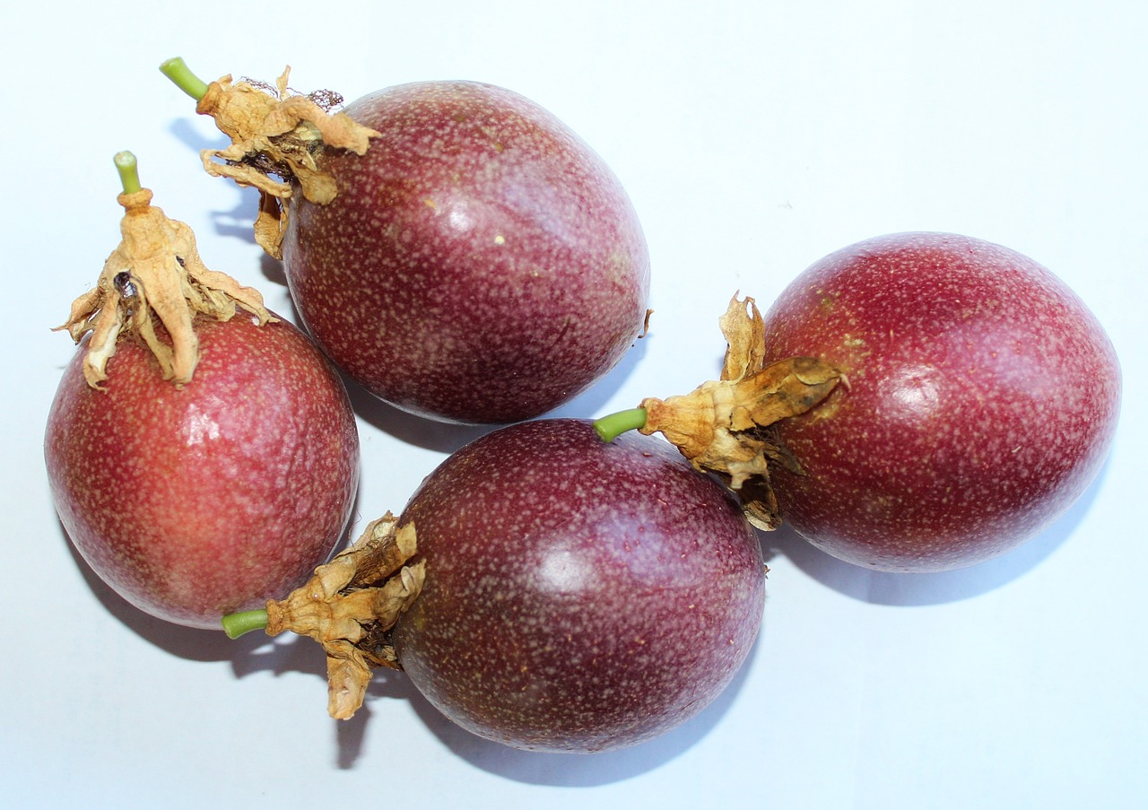 ¿Cómo es la flor de la granadilla?