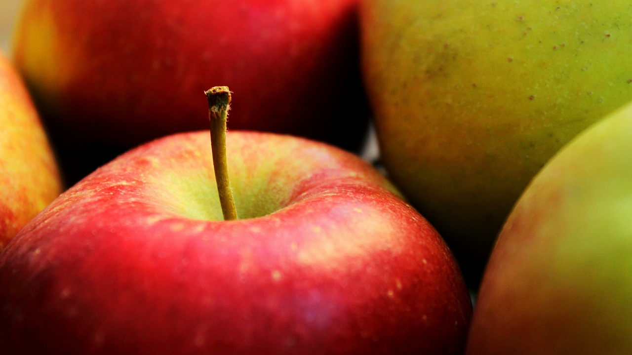¿Cómo fertilizar el suelo naturalmente?