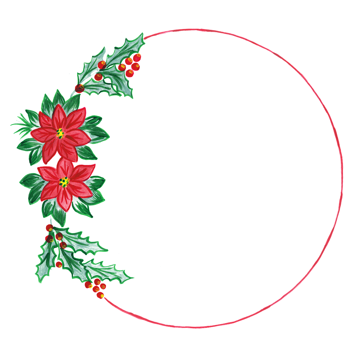 ¿Cómo se cuida una planta de flor de Pascua?
