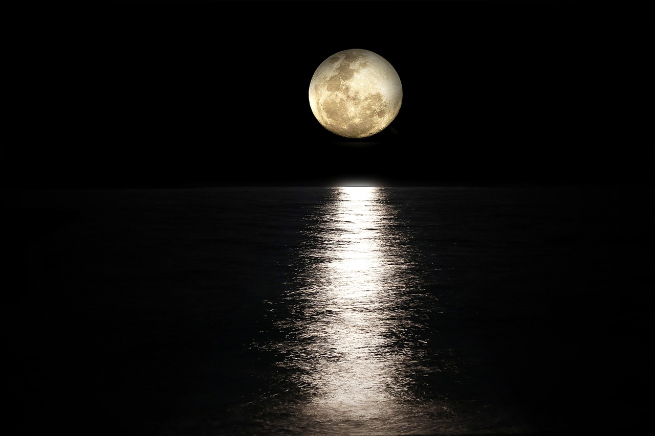 ¿Cuándo sembrar según la luna 2023?