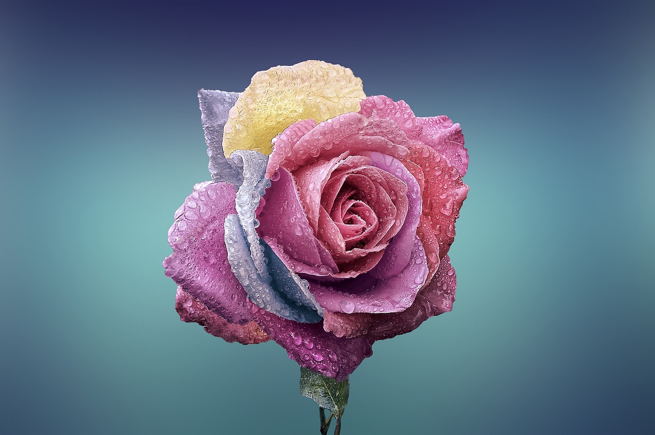 ¿Qué alimentos nacen de una flor?