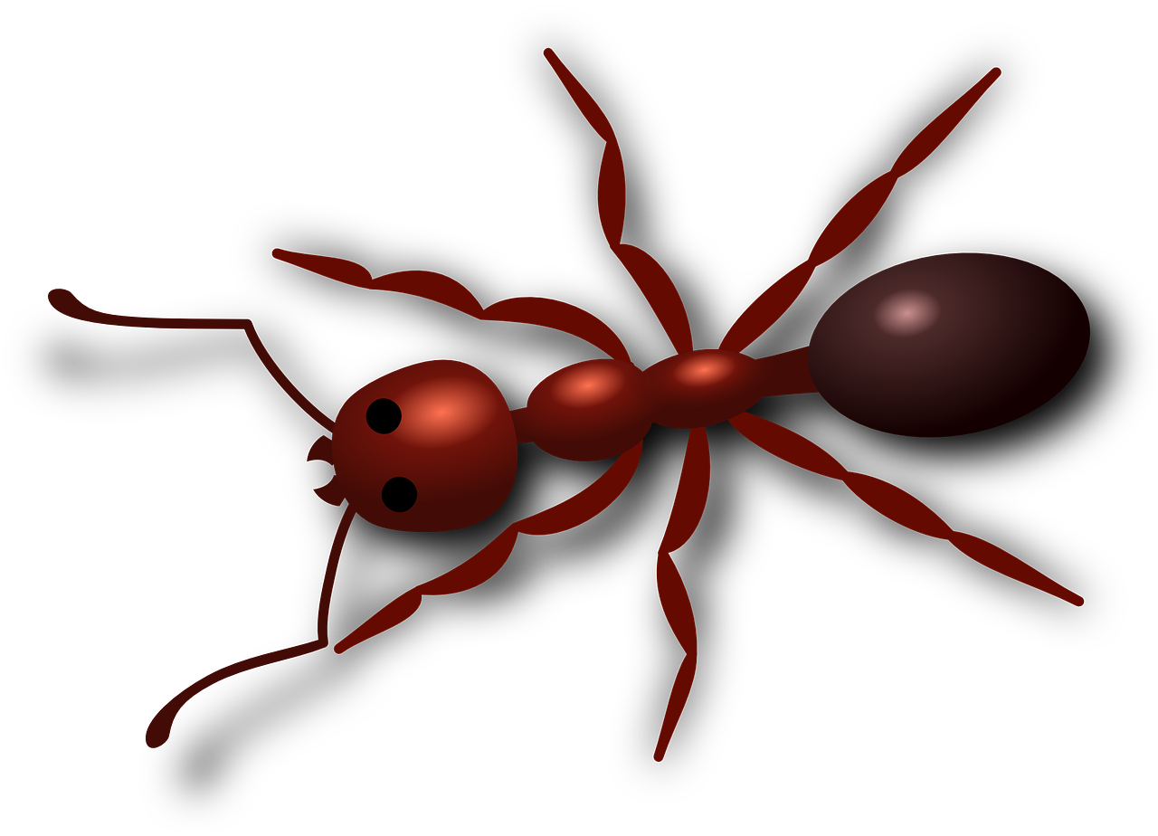 ¿Qué hace la picadura de Escolopendra?