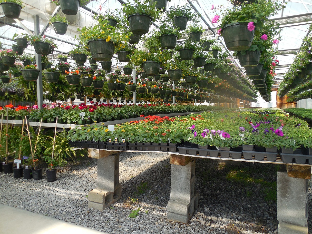 ¿Qué es el foliar y para qué sirve?