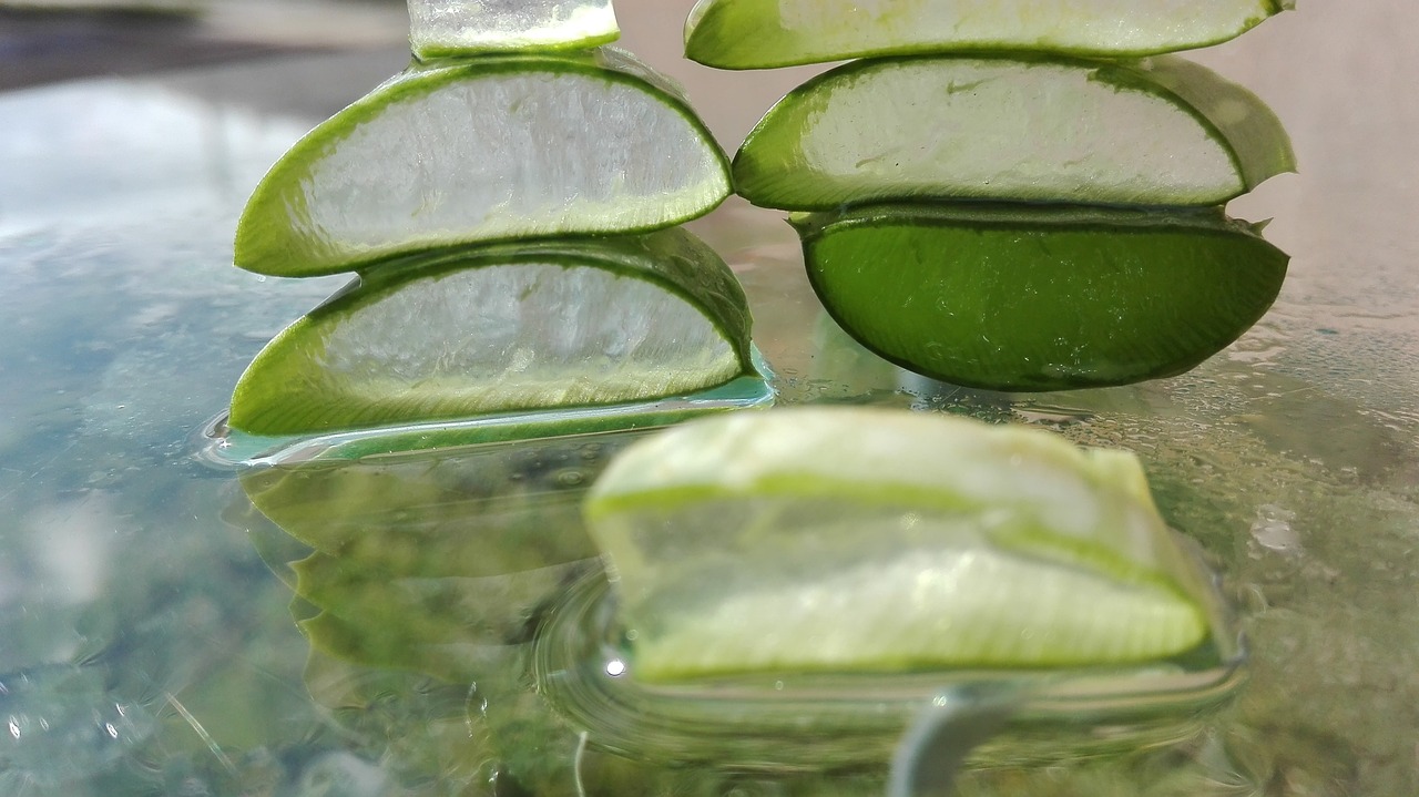 ¿Dónde se cultiva el aloe vera en España?